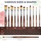 12PCS Artist Paint Brush Set, Craft Paint Brushes for Acrylic Painting, Oil, Watercolor, Gouache, Tempera, Face, Body, Fabric, Model, Art Supplies Paintbrushes for Artists Beginners (Wood)